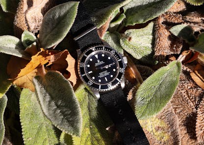 rolex in the forest